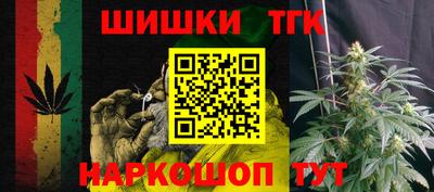 мдпв Партизанск