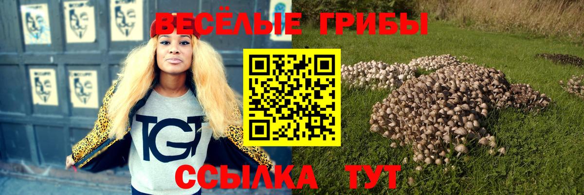 Псилоцибиновые грибы Psilocybine cubensis  Вход с VPN  Серов 